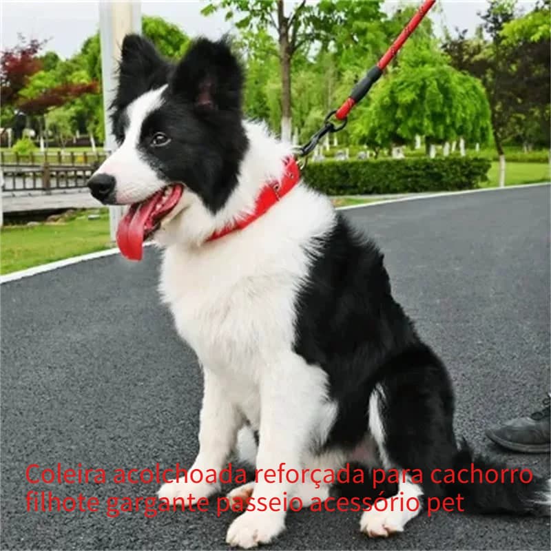 Coleira grossa para cachorro, coleira pequena para cachorro nativo, coleira de tração para cachorro, produtos especiais