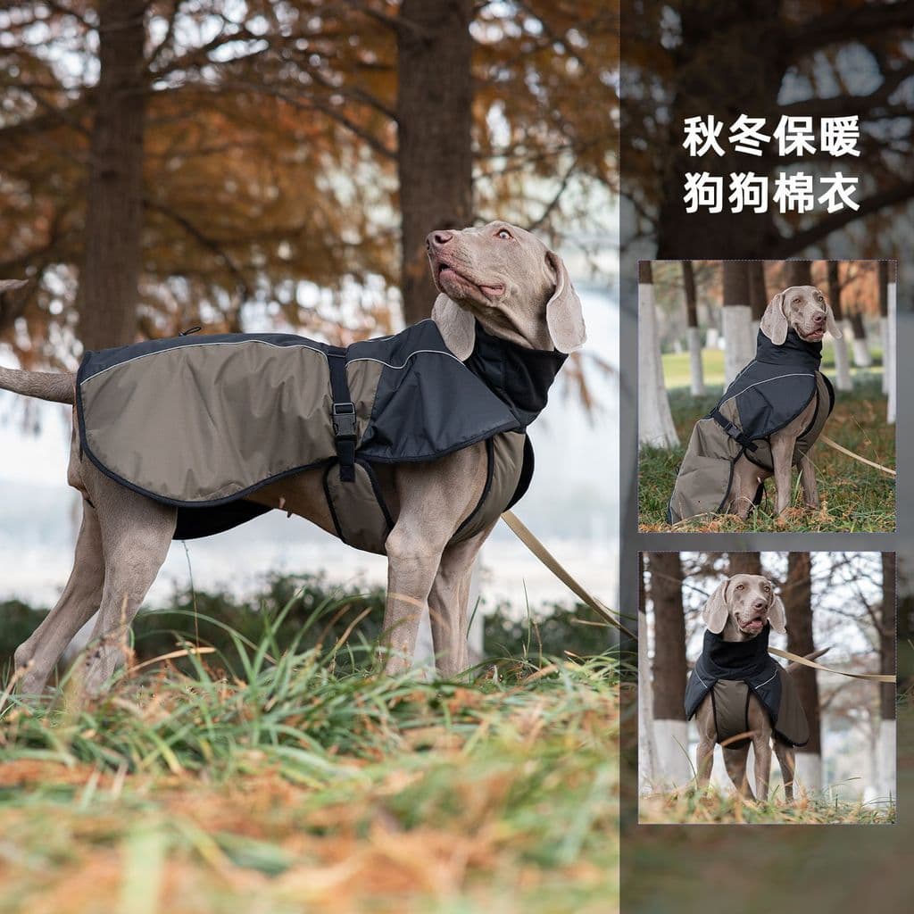Atacado roupas para cães à prova de vento à prova dwindproof água médio grande jaqueta reflexiva Spinger Golden Retrieve