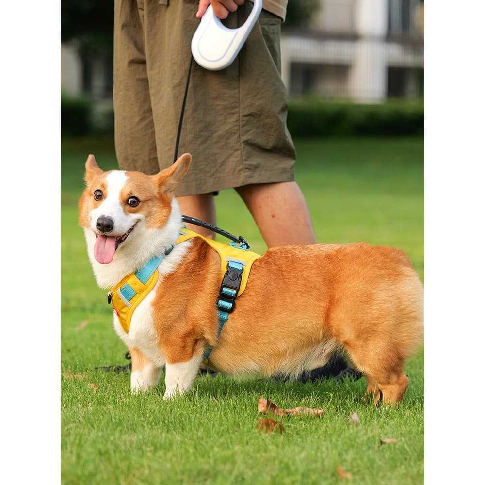 Colete à prova de explosão tipo trela para cães médio grande cão Corgi filhotes dedicado cinta peitoral cão andando trel
