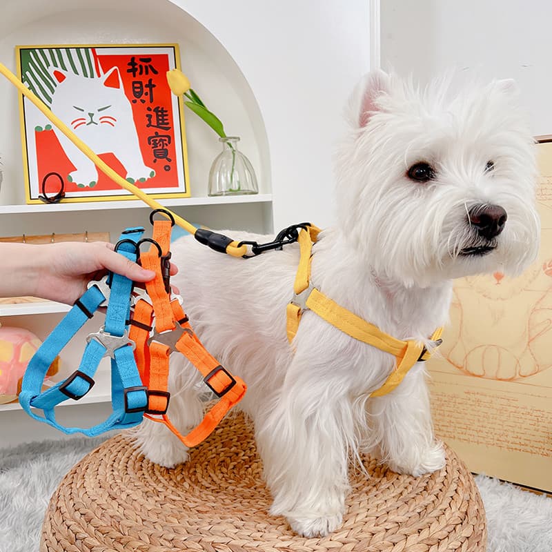 Coleira para cães e gatos, coleira peitoral Anti-quebra para animais de estimação, coleira para caminhada, cachorro pequ