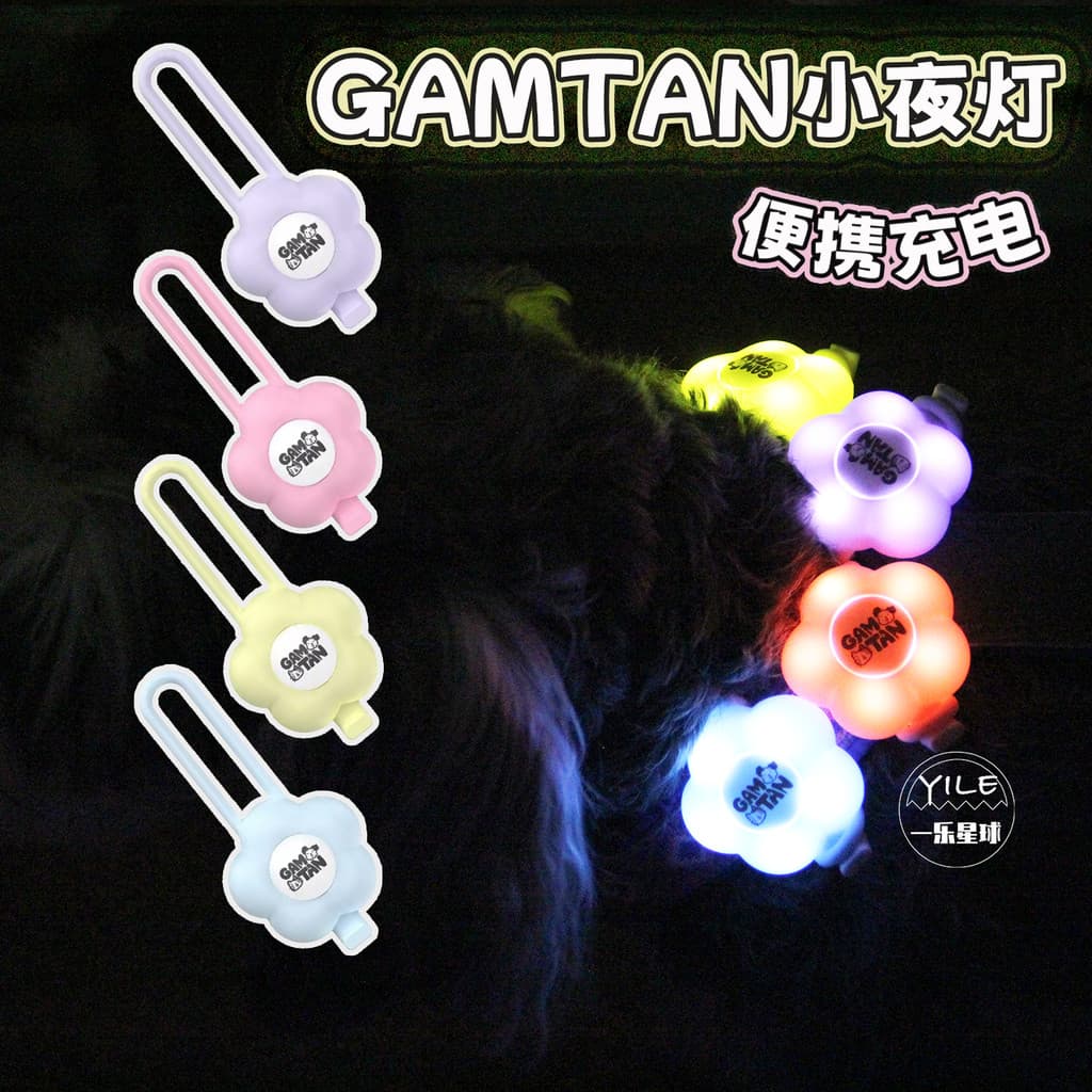 Coreia coreia Gamtan luz noturna cão andando luz cão noite Outing LED recarregável Silicone Pet luz luminosa flor