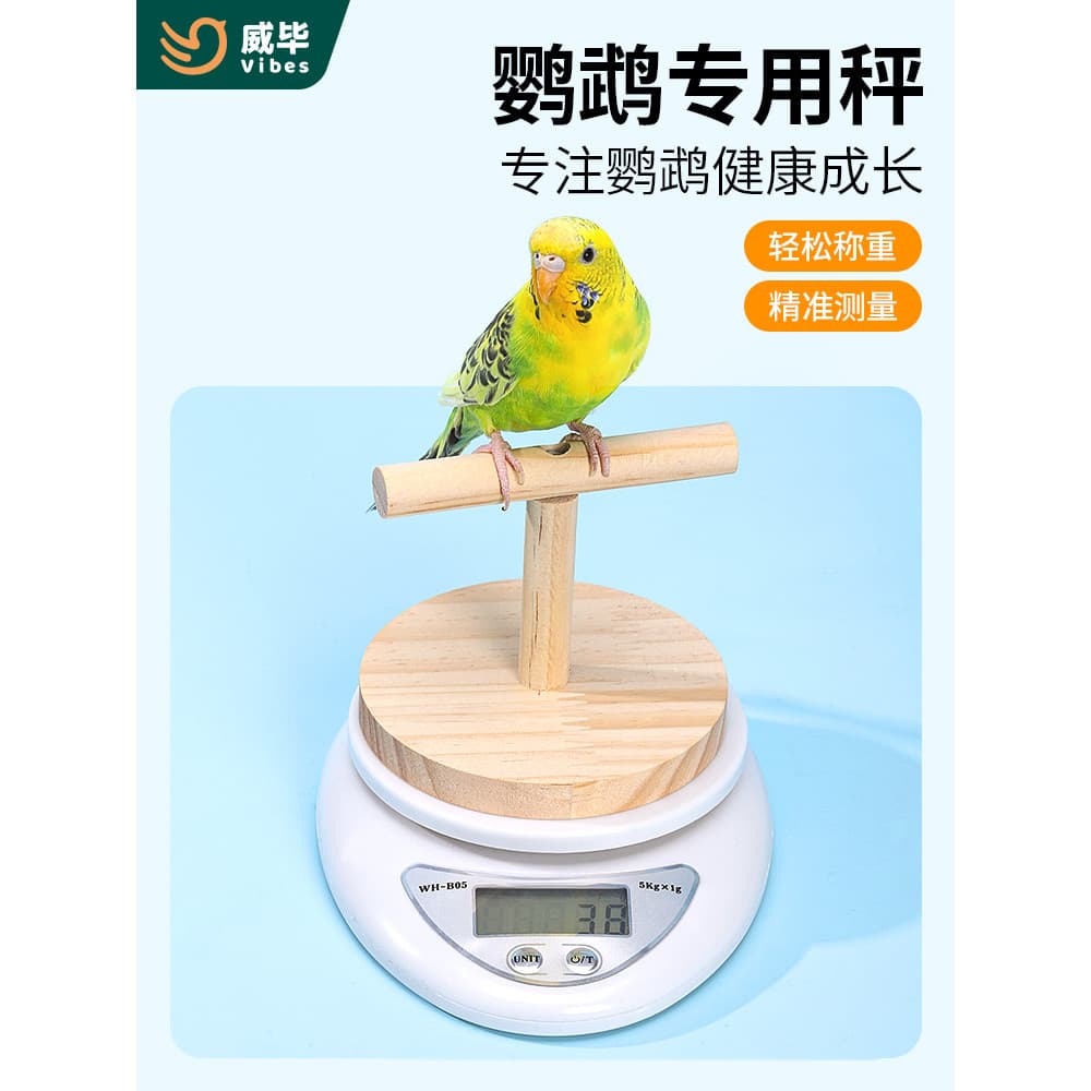 Weibi papagaio dedicado balança de peso pássaro balança eletrônica Xuanfeng pele de tigre peônia alimentação pássaro com