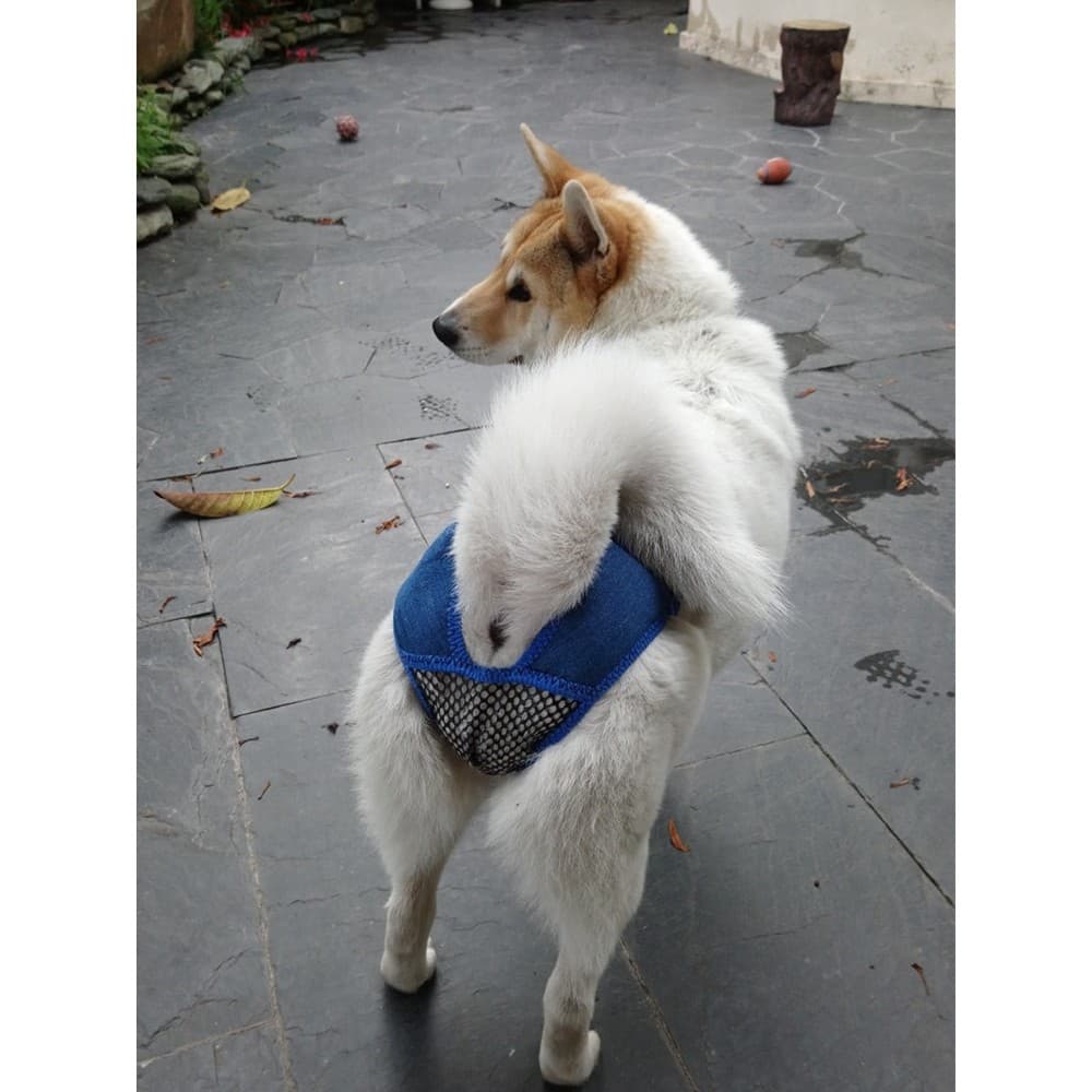 Calças fisiológicas cadela contato para cães gravidez calças menstruais roupas para animais de estimação anti-assédio ca