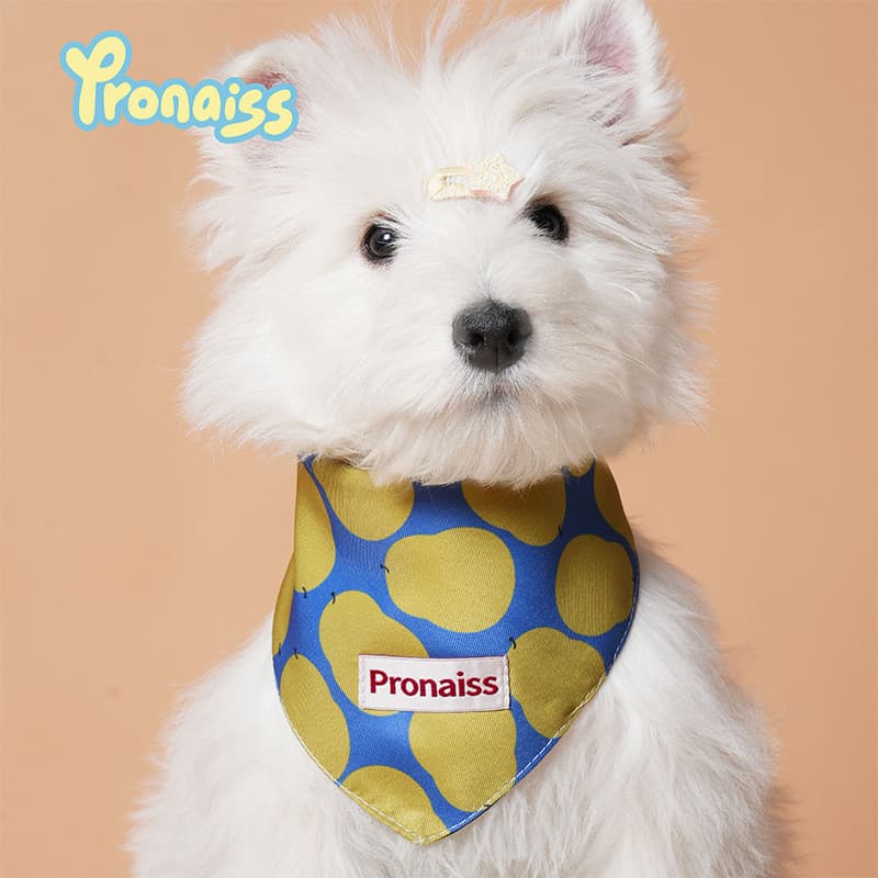 West Highland Terrier branco especial Saliva toalha cão triângulo cachecol babador foto acessórios roupas cães pequenos