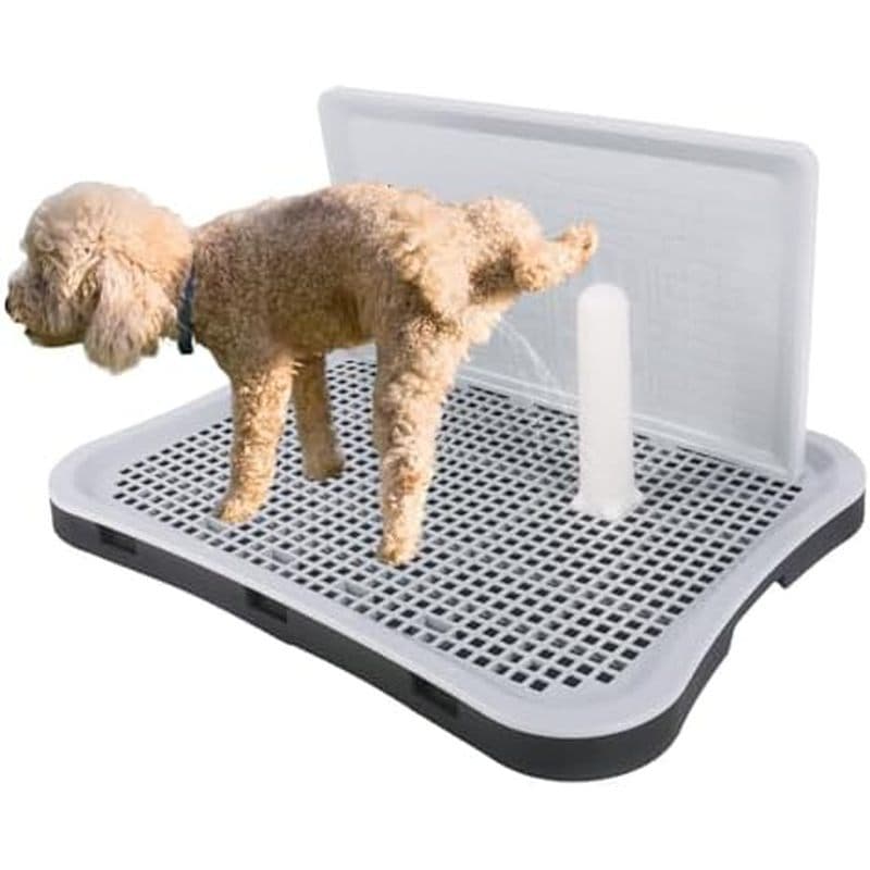 Bandeja Interna Para Penico Cães Com Proteção Contra Respingos , Suporte Almofada De Xixi De 20 " X 15.5 1.4 " Filhotes