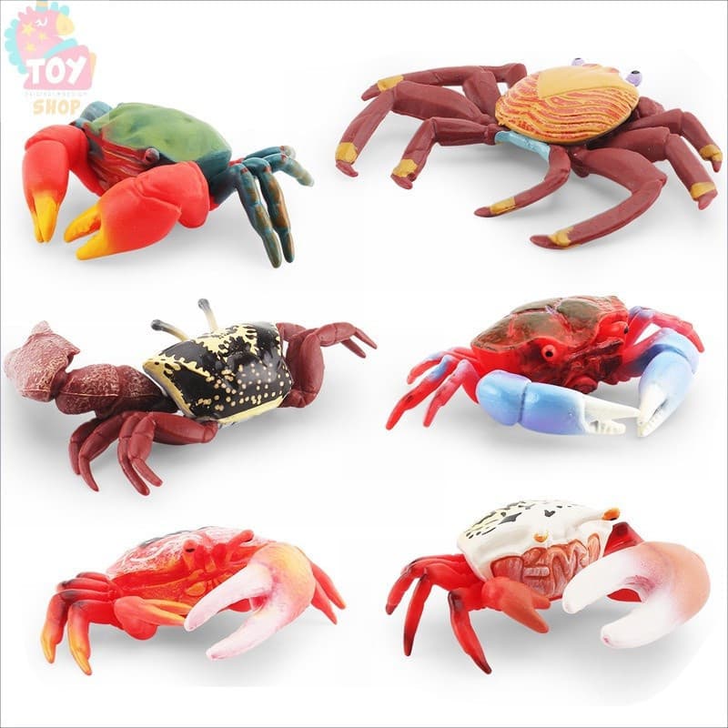 Brinquedo educativo infantil, modelo simulado de animal marinho, Sally Crab, decoração de mesa YKGL