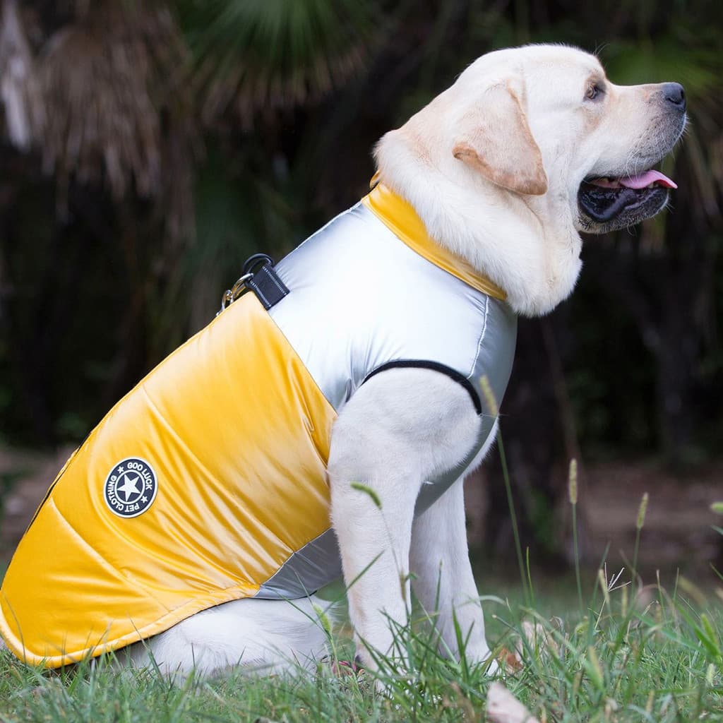 Roupas para cães outono inverno engrossado roupas de algodão médio grande cães Labrador Golden Retriever roupas de inver