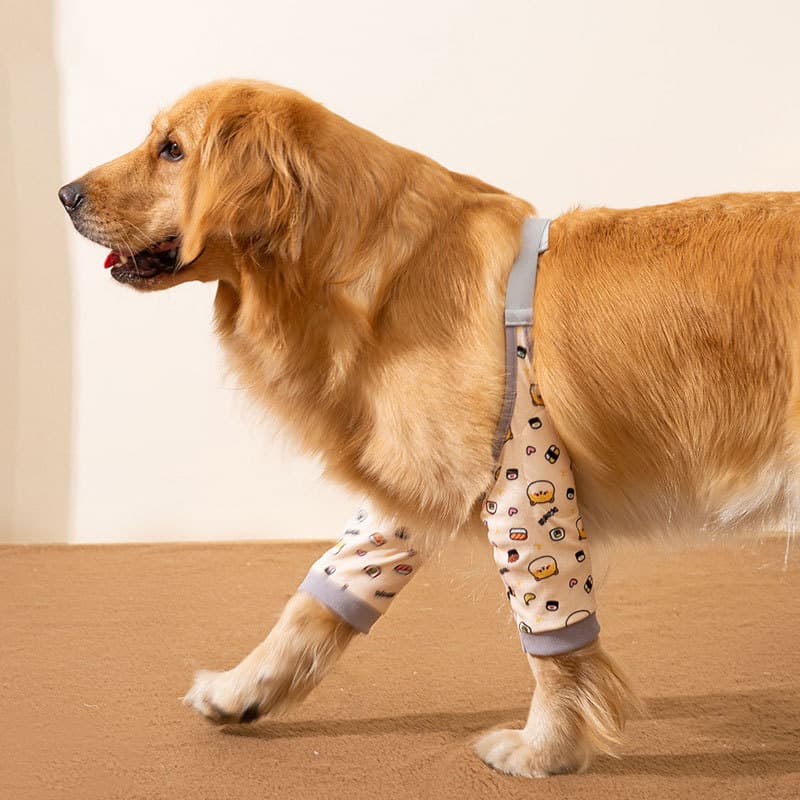 Novas Joelheiras Para Cães , E Cotoveleiras , Protetores De Articulações Antidesgaste Resistentes À Sujeira Médios Grand
