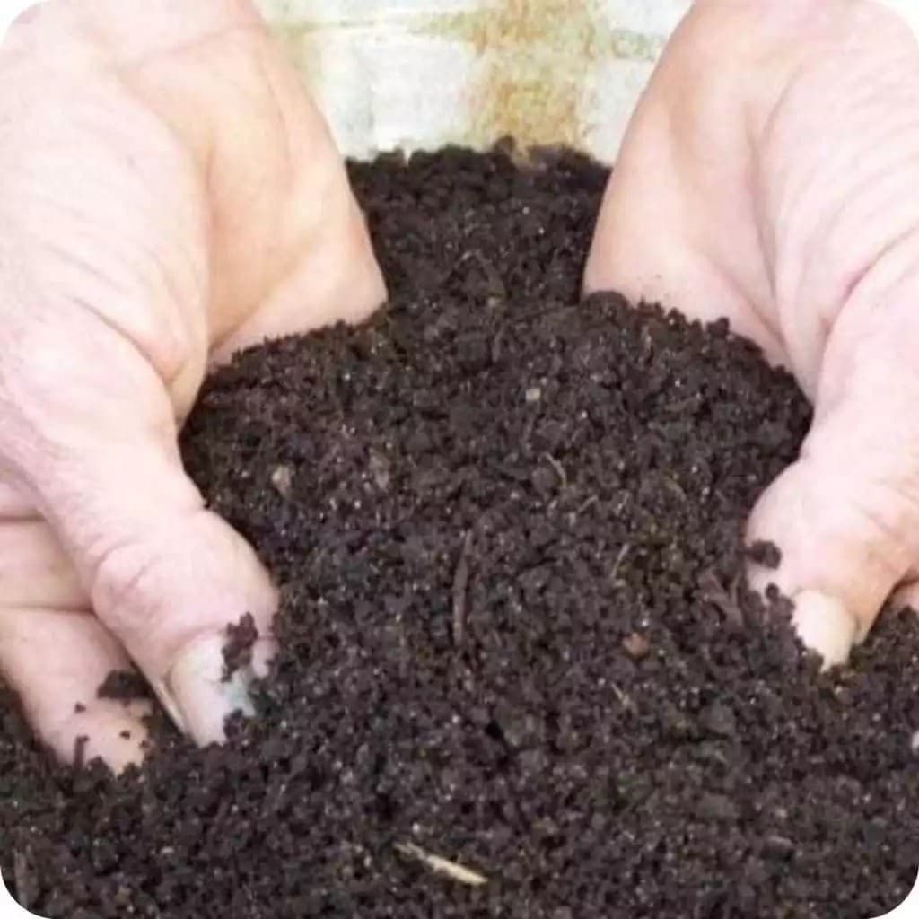 Até 20KG Terra Preta Adubada, Orgânicas Pronto para Plantio de Plantas, Pomares e Hortas