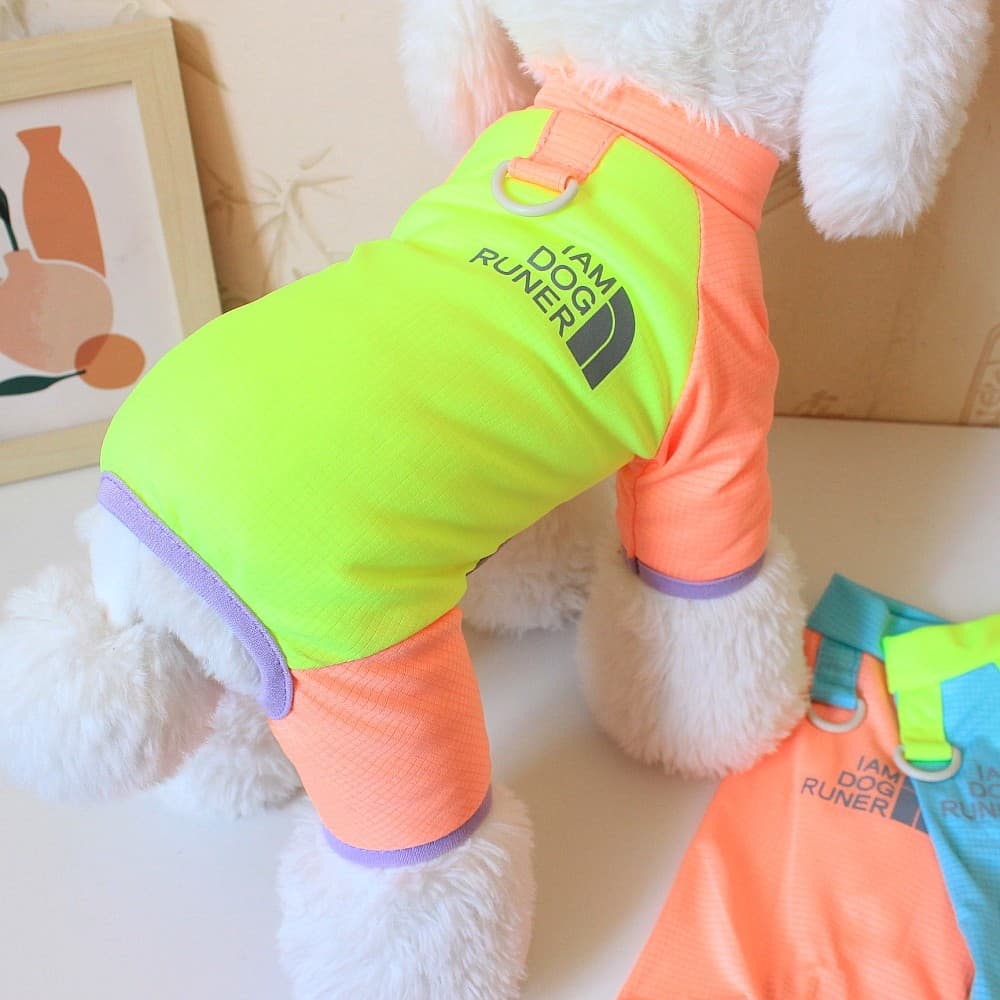 Animal de estimação primavera verão roupas rua Wear cor correspondência de secagem rápida roupas esportivas Teddy Bichon