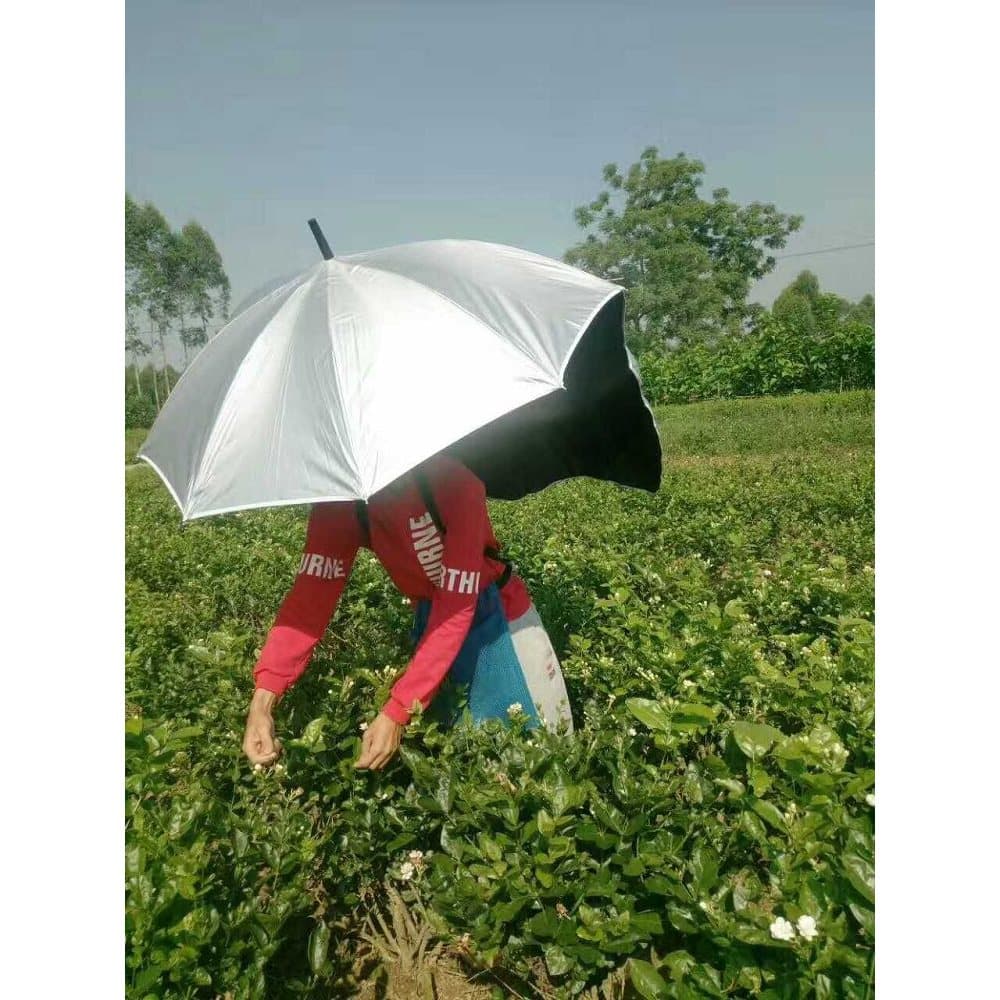 Guarda-chuva de chá, guarda-sol para colheita de chá, guarda-chuva mãos-livres, guarda-chuva dedicado, guarda-chuva tras