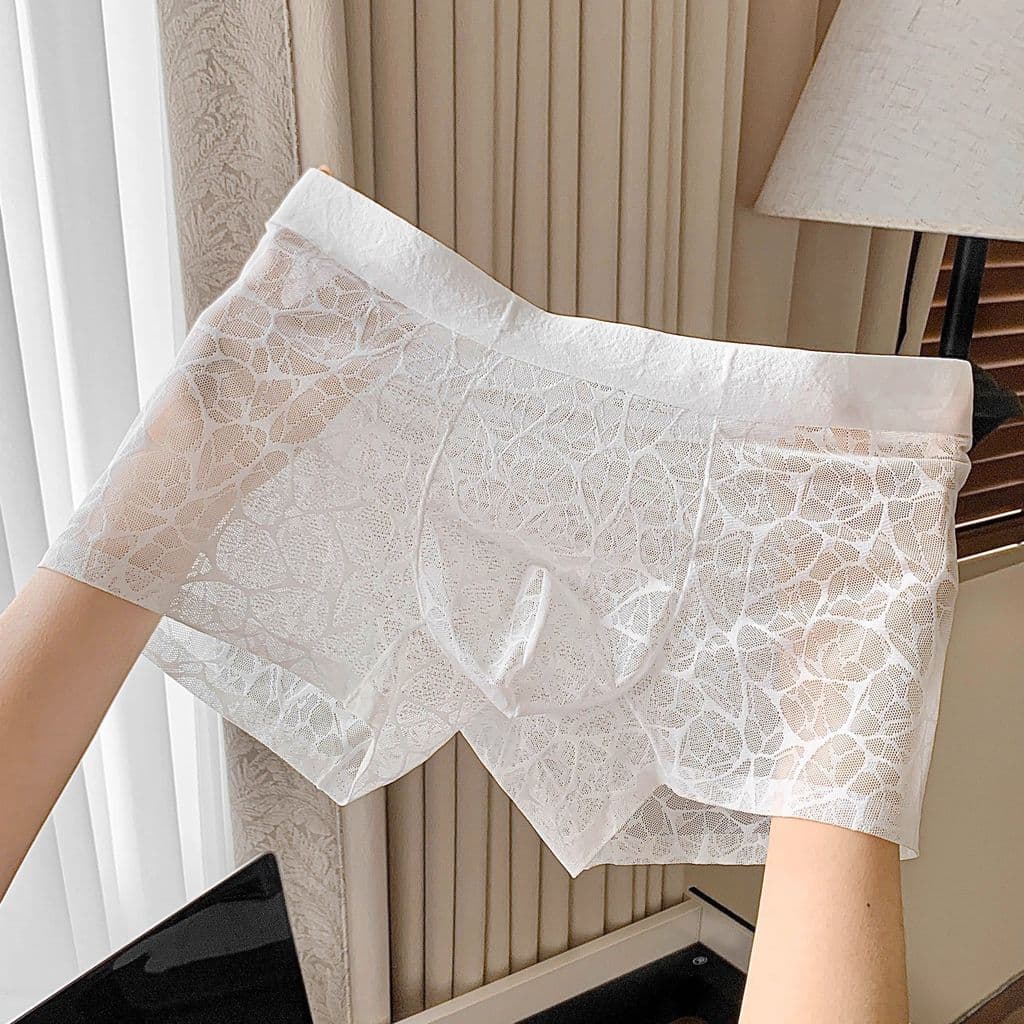 2026 novo produto camélia seda gelo confortável roupa interior masculina transparente respirável quatro cantos malha Box