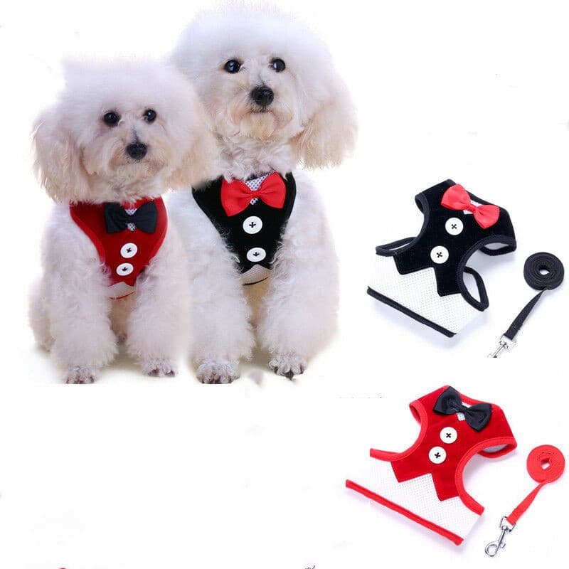 Coleira Ajustável para Cães - Laço Personalizado com Nylon, Anti-Umidade JP56 IYGL