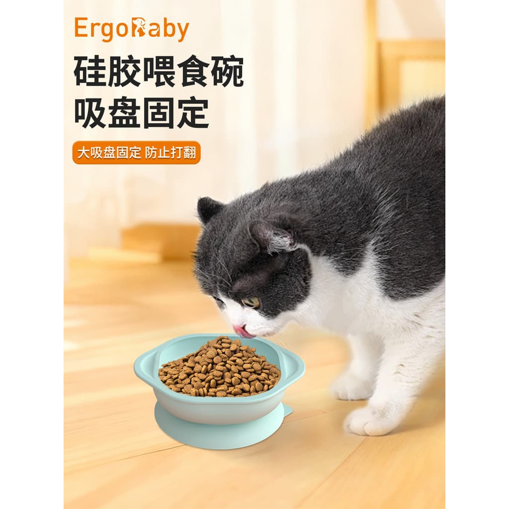 Tigela para gatos Tigela de comida de gato não cerâmica Tigela para beber animais de estimação Tigela de comida integrad