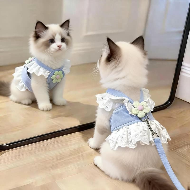 Corda de tração para gato, Anti-quebra, renda, peito, saia traseira, doce, respirável, gatinho, roupas especiais, fofa,