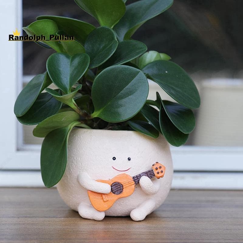 [Concessional H] Pote Plantador De Rosto Sorridente Com Furo De Drenagem Resina Fofa Para Cordas De Plantas Vasos De Gui