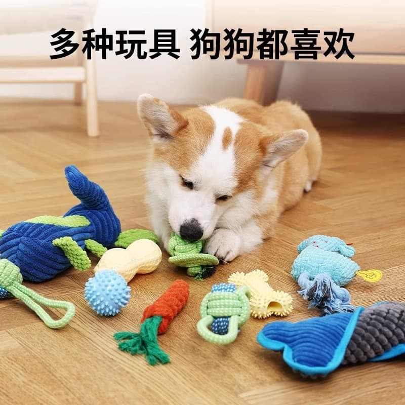 [Exclusivo da experiência Good Thing] Conjunto de brinquedos para cães de estimação