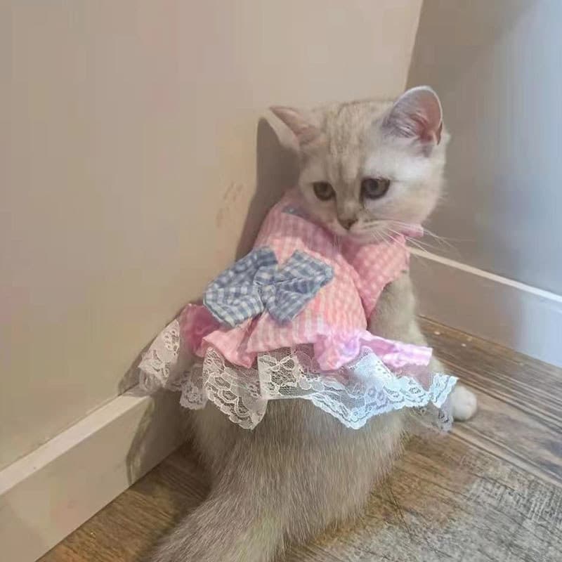 Roupas de gato primavera verão estilo fino Anti-fiapos vestido Muppet prata gradiente gato alemão bonito vestido de prin