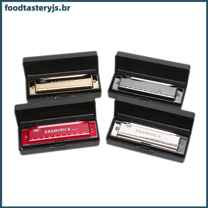 FTTJ 10 Buracos Gaita Boca Órgão Quebra-Cabeça Instrumento Musical Iniciante Ensino BR