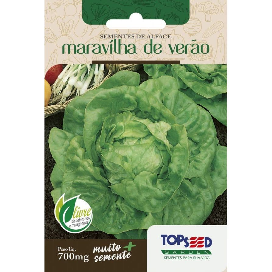 Sementes de Alface Maravilha de Verao - Topseed Linha Tradicional