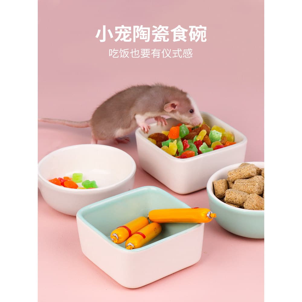 Tigela de chinchila tigela de comida de cerâmica Anti-derrubamento alimentador de lanche ouriço caixa de comida grande t
