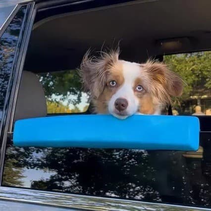 Descanso De Queixo Para Janela De Carro Cães , Ferramenta De Animais De Estimação