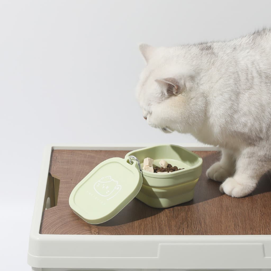 XPAWS Pet Outing tigela portátil tigela de gato com tampa tigela de Silicone dobrável acampamento ao ar livre viagem tig