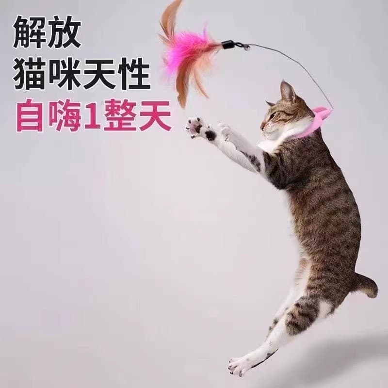 Cabeça-montado gato provocando vara brinquedo gato auto-feliz alívio do tédio consumindo força física ferramenta útil Au