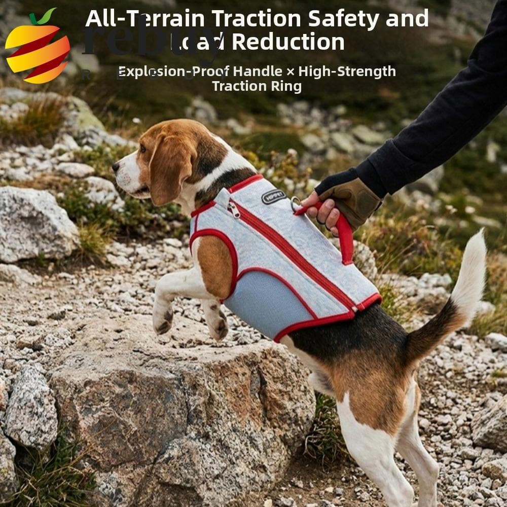 REBUY1 Camisa De Resfriamento Para Animais De Estimação , Colete Ajustável Respirável Cães , Jaqueta Com Design De Zíper