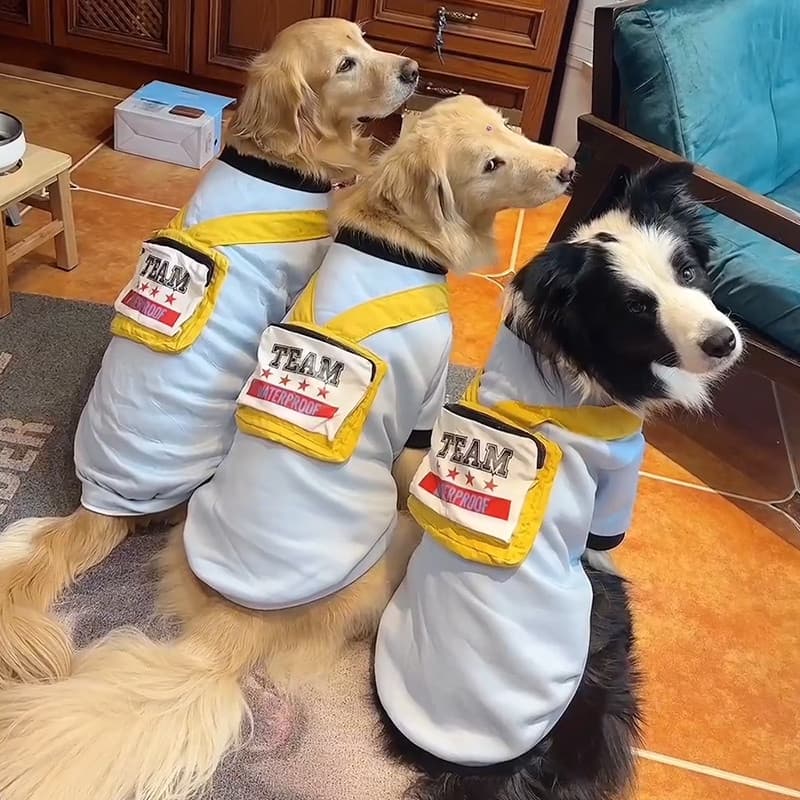 2025 novo estilo roupas para cães primavera outono estilo médio grande cão Golden Retriever Labra pastor poligonal outon