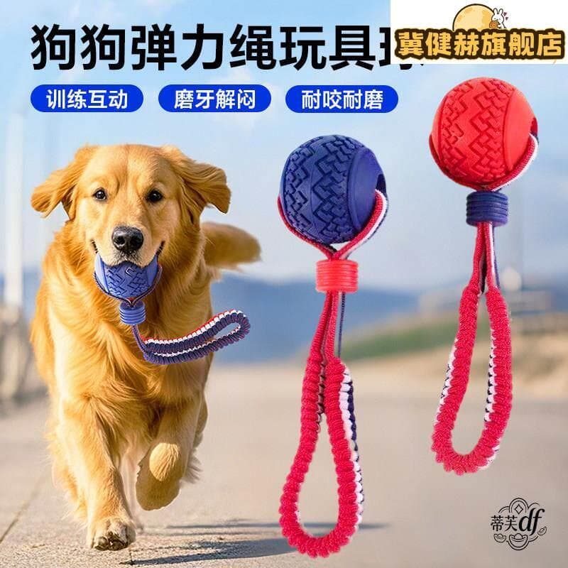 Ferramenta útil para treinamento de cães, brinquedo para cães, bola especial para aliviar o tédio, Material de treinamen
