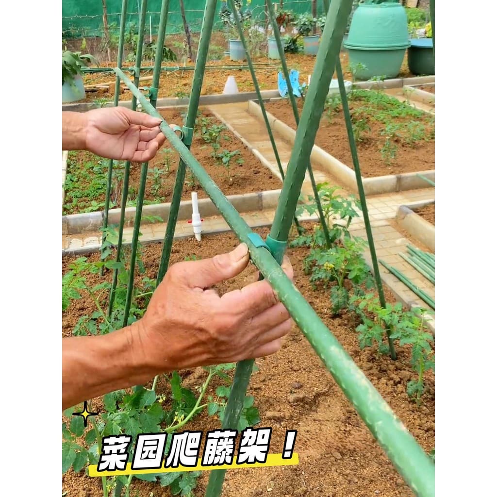 Rack de escalada para jardim vegetal, bucha de pepino, melancia, melão, feijão de frutas, canto, haste de suporte para p