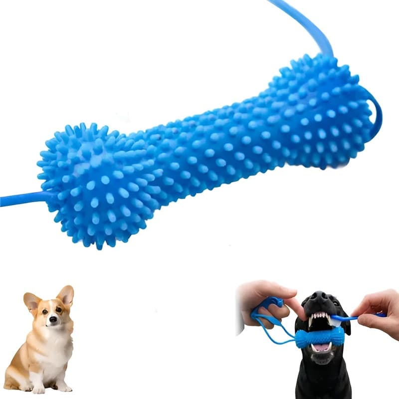 【Escovação Prática】Os petiscos dentais de dupla ação para cães/Limpeza Dental/Para Animais de Estimação