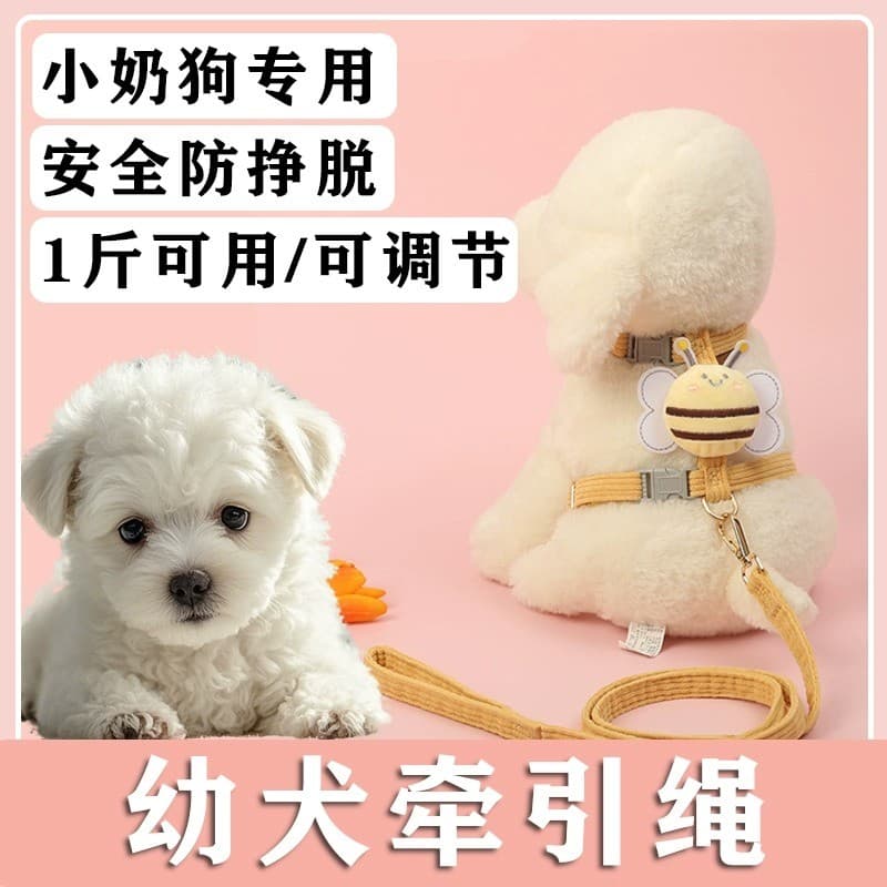 Coleira para cachorro, corrente para cachorro, pequeno, pelúcia, Bichon, filhote de cachorro, cinta peitoral, n
