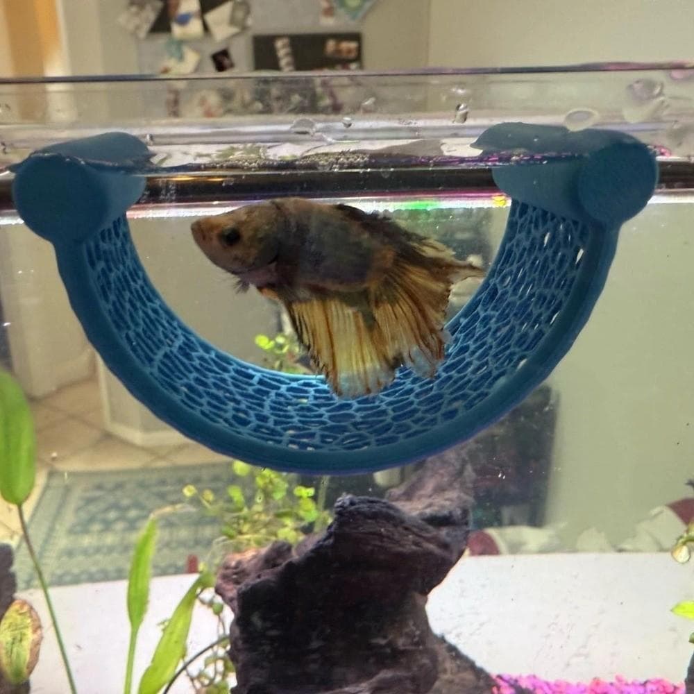 Rede Flutuante Para Peixes RLFIBEB , Betta Com Impressão 3D De Esconderijo , Plataformas De Descanso Aquário De Plástico