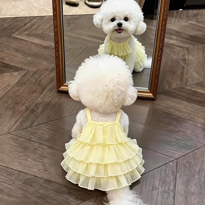 Gato roupas de verão fino respirável vestido de princesa bonito ins pequeno cão Teddy Bichon Pomeranian vestido de verão
