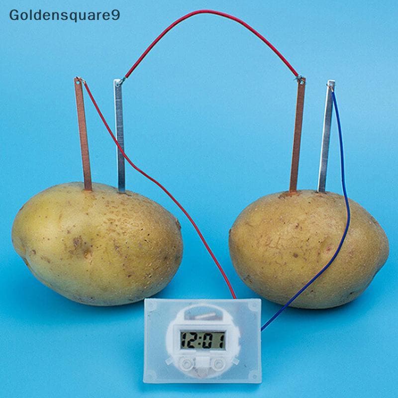 goldensquare9 kit De Ciências De Bioenergia Para Crianças , Fornecimento Divertido De Batata , Experimentos De Eletricid
