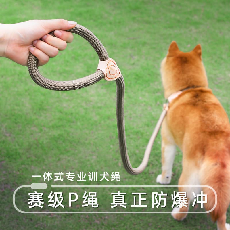 Coleira para treinamento de cães, corrente p à prova de explosão, coleira para caminhada de cães, corrente média p, gran