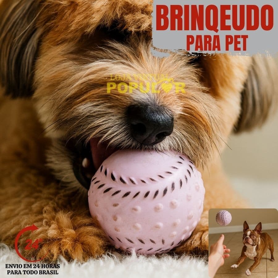 Brinquedo Bola Bolinha Lisa Maciça Branca para Cachorro Cães Pet 7,5cm