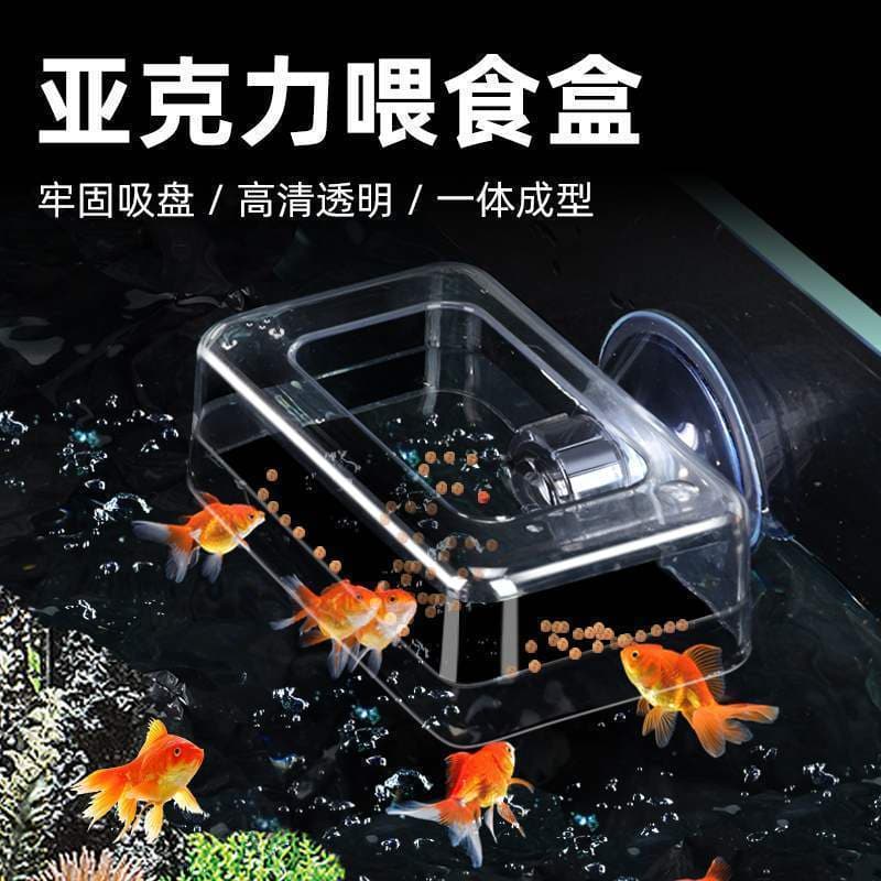 Alimentador de tanque de peixes, anel de alimentação, caixa de comida, peixes tropicais, peixes pequenos, Guppy, luz, pe