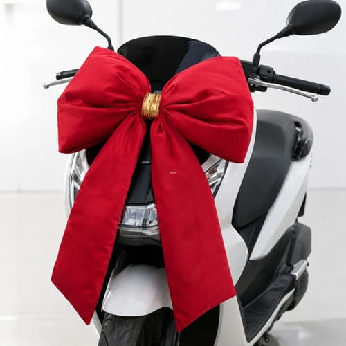 Laço Decorativo Vermelho Para Moto Presente Entrega Especial
