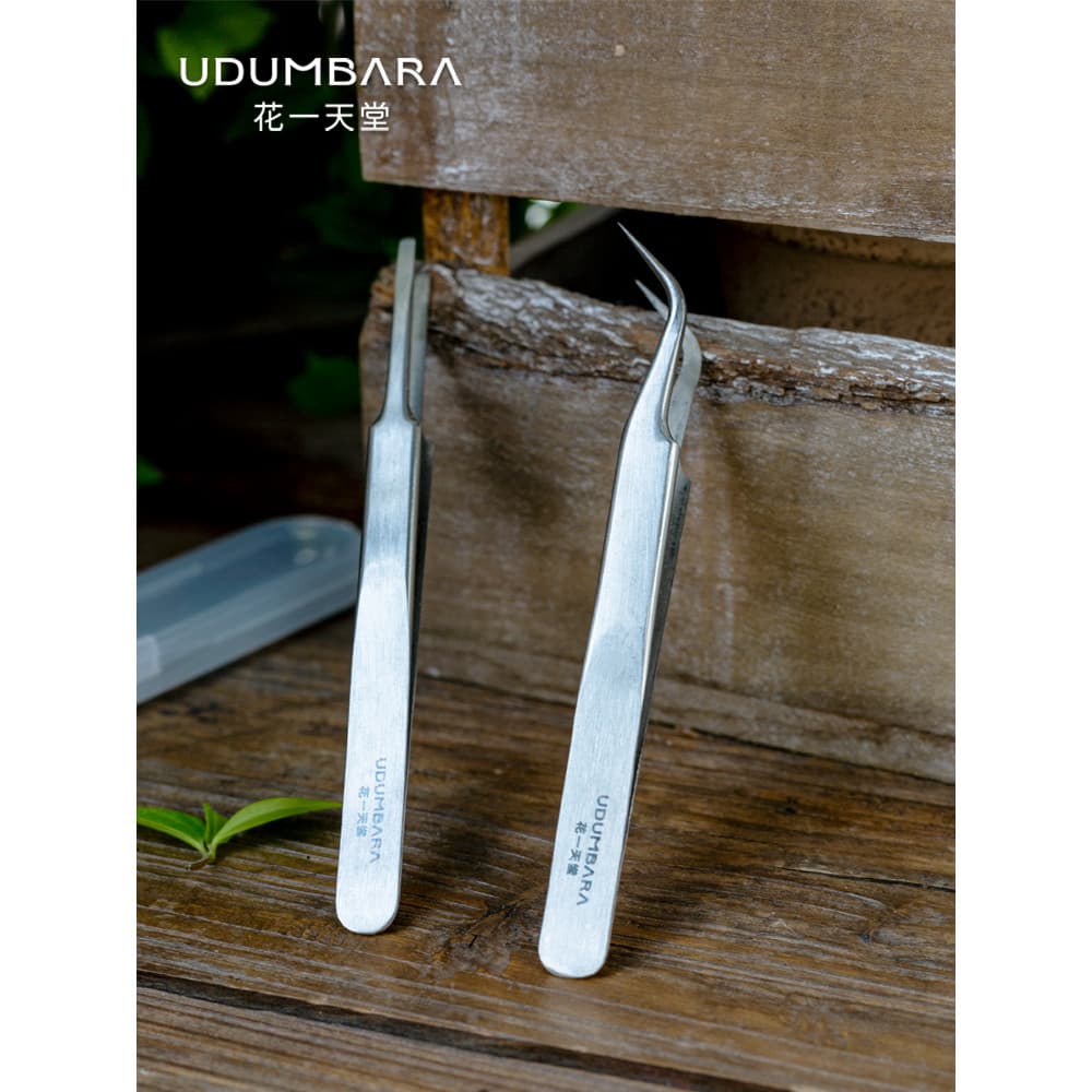 Huayi paraíso precisão pinças de aço inoxidável suculentas ferramentas jardinagem raiz reparação plantio clipe folhas mu