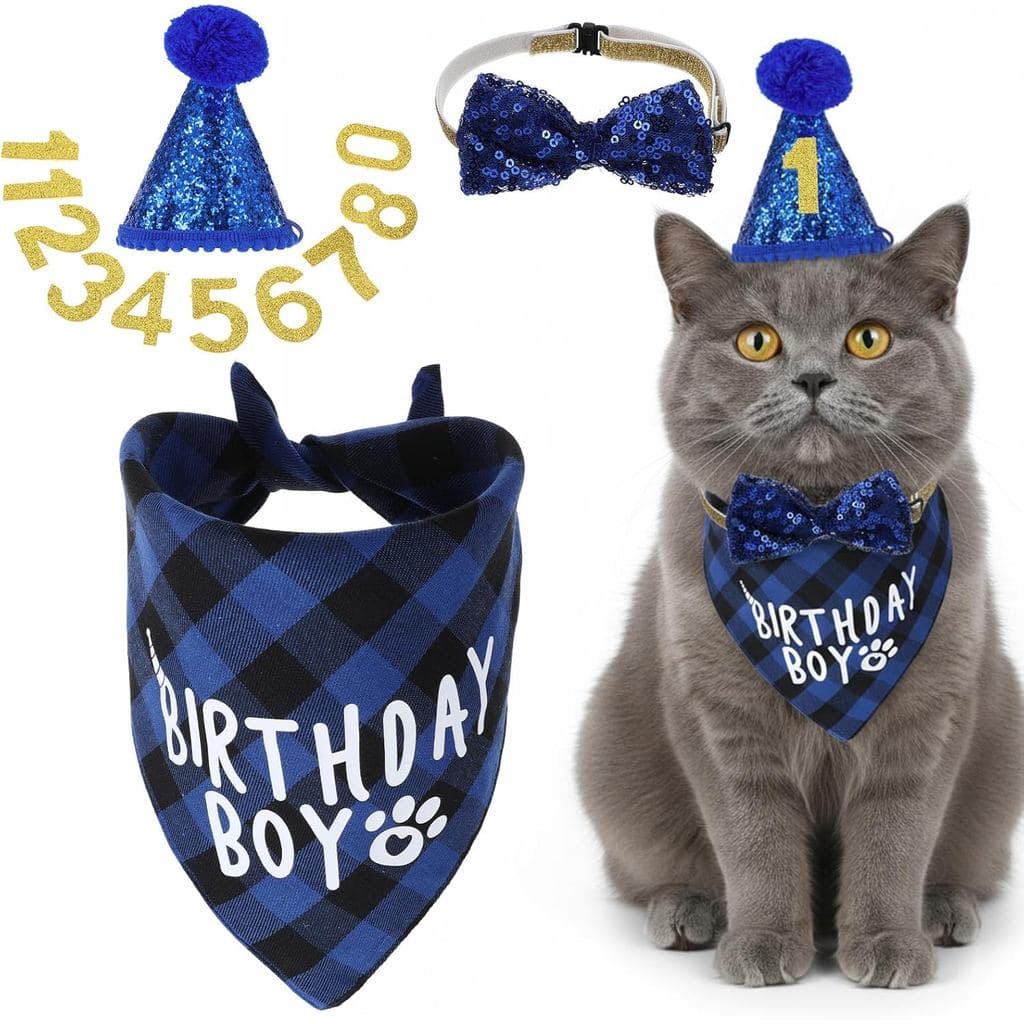 Xindojuz 1 Conjunto de Decorações de Aniversário para Gatos, Chapéu de Aniversário Ajustável para Gatos com Número, Grav