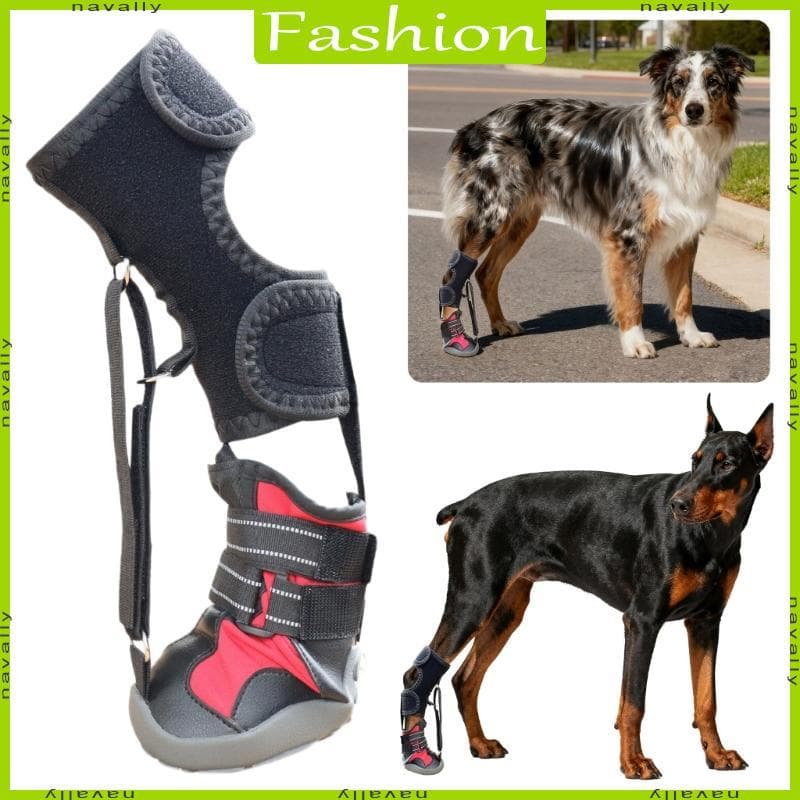 Cinta Para Pés nava Carretel Cães Problemas E Melhorando A Sapatos