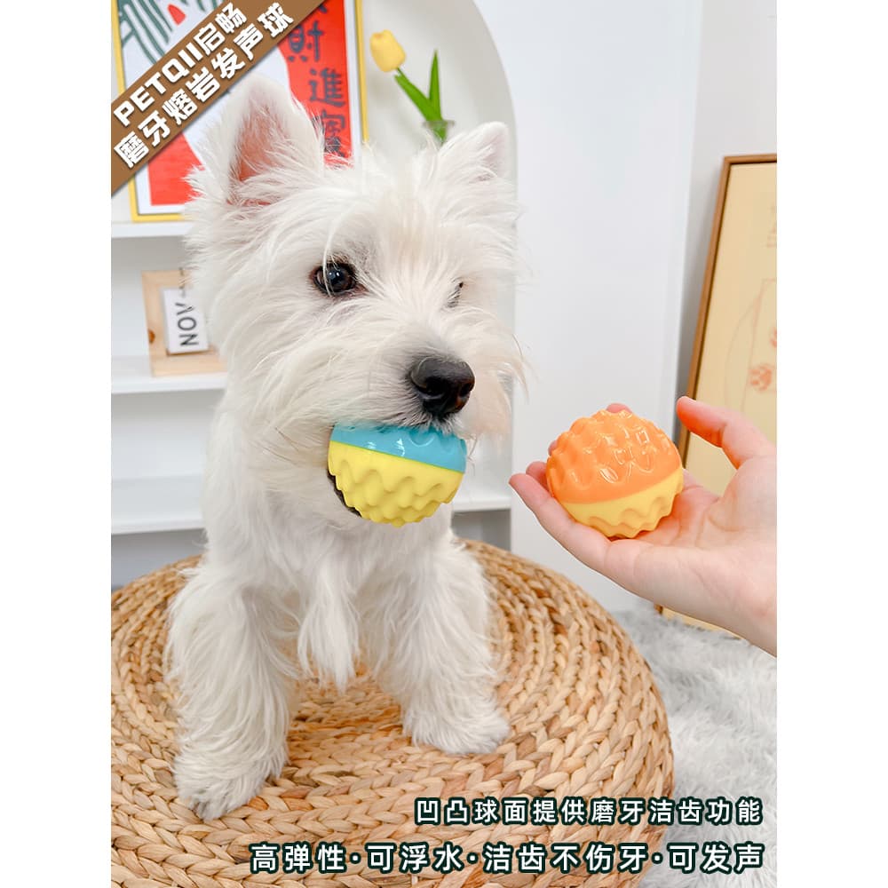 Brinquedo de voz para cachorro, luta francesa, resistente à mordida, Bichon, Molar, filhote de cachorro, auto-feliz, alí
