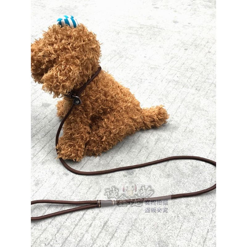 Frete grátis coleira para cachorro e cachorro, corrente para cachorro de pelúcia, pequeno, médio, Golden Retriever, filh