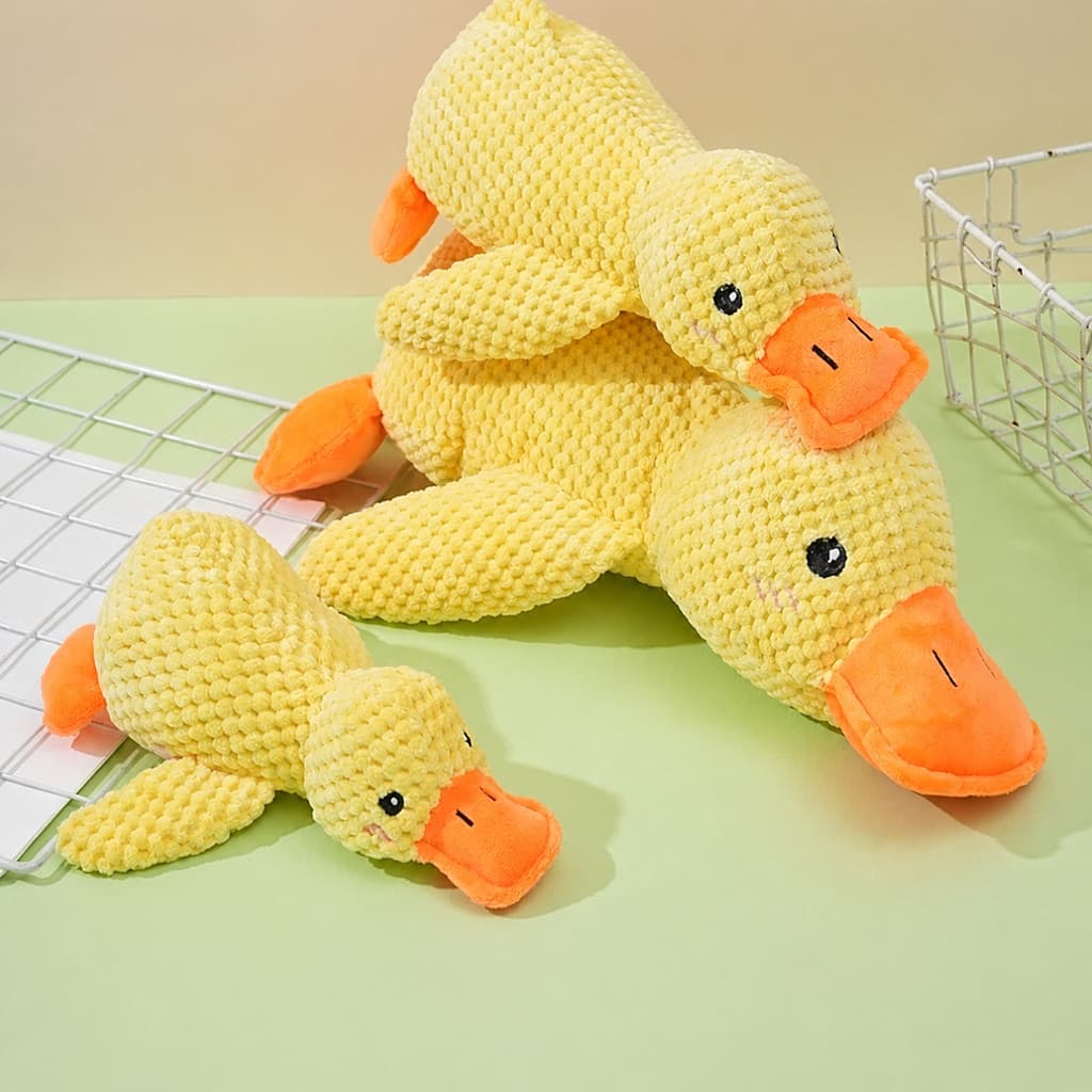 Brinquedos com Som para Cães e Gatos, Modelos de Pelúcia, Bolas e Formatos Divertidos · Coleção Horizonte