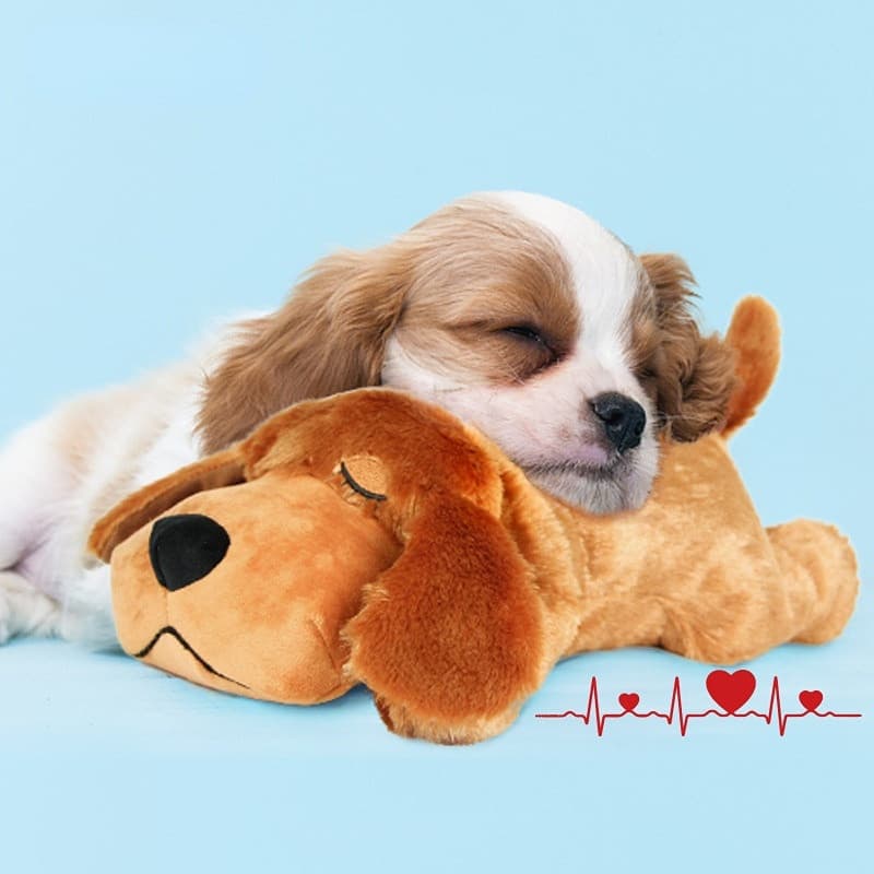 Brinquedo de Pelúcia para Cães de Estimação, Treinamento Comportamental, Confortável para Dormir, Alívio da Ansiedade, E