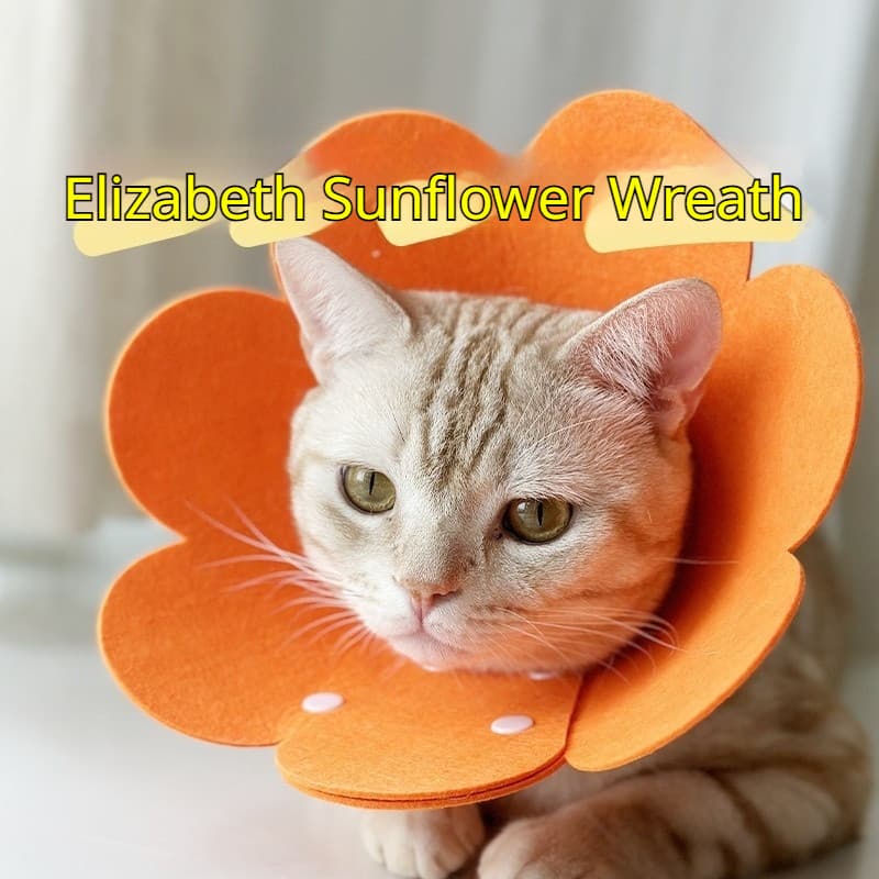 Coleira elizabeth para animais de estimação, coleira de feltro para animais de estimação, gato, pós-operatório, coleira