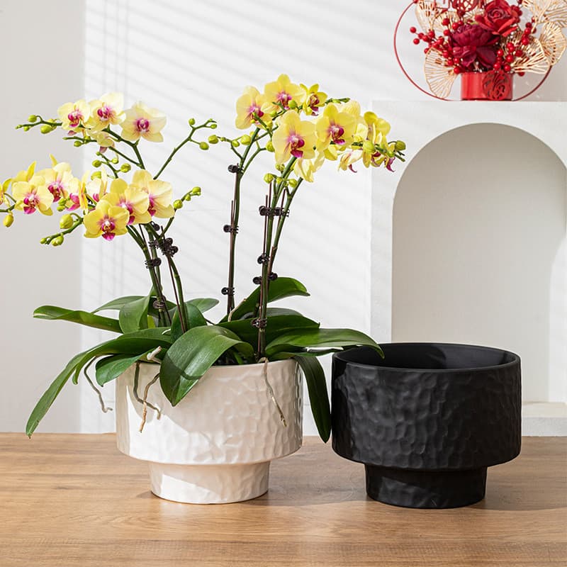 Galvanoplastia prata preto branco luz luxo High-End sentimento Phalaenopsis vaso de flores de cerâmica combinação de gra